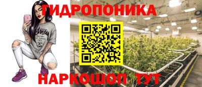 apvp Моздок