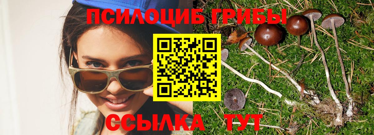 Псилоцибиновые грибы Magic Shrooms  хочу   Сочи  Вход с VPN 