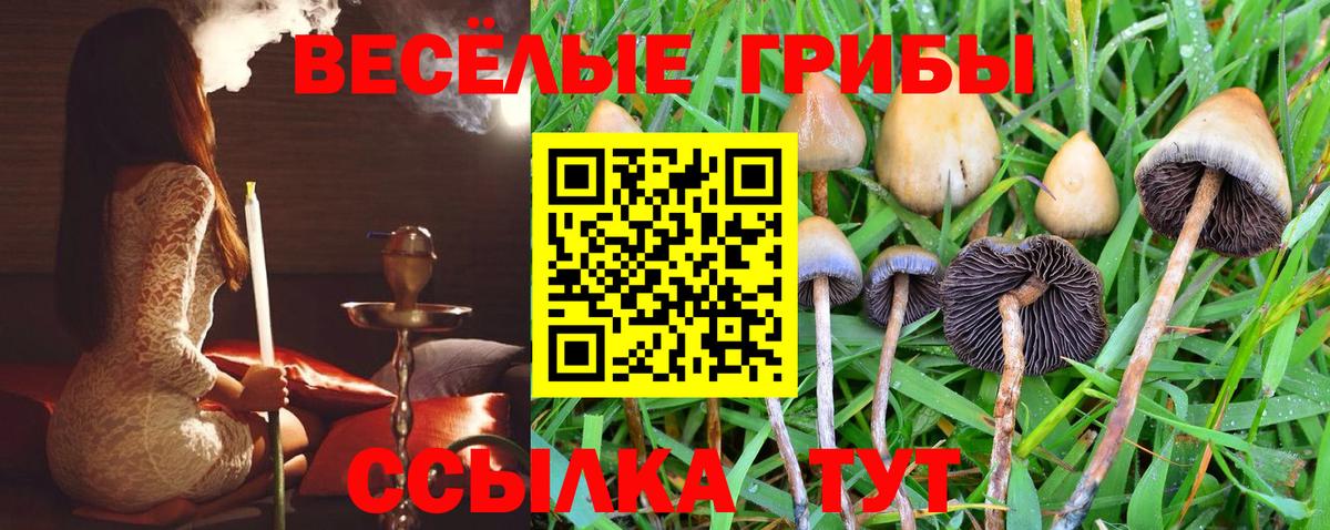 Галлюциногенные грибы MAGIC MUSHROOMS Сочи